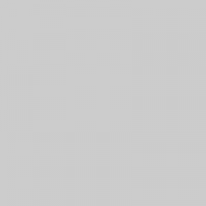 Speaker Profile T.B.A.